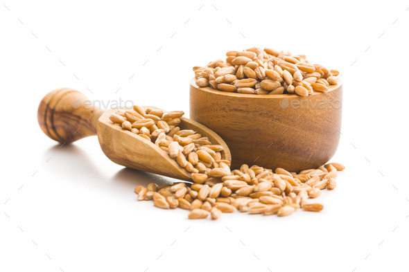Healthy spelt grains.